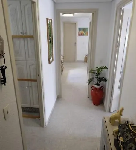 Medina Paradise * 科爾多瓦