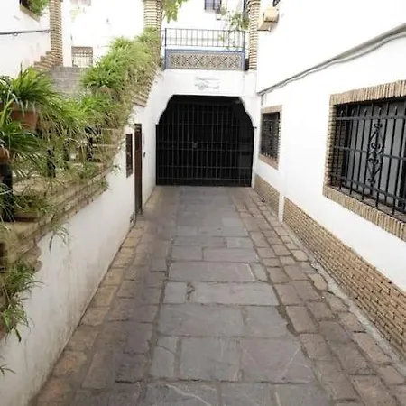 Medina Paradise דירה